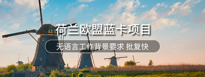 荷兰欧盟蓝卡项目