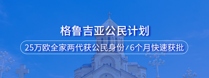 格鲁吉亚公民计划