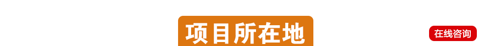 项目团队
