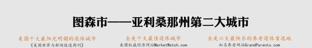 图森