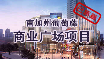 葡萄藤