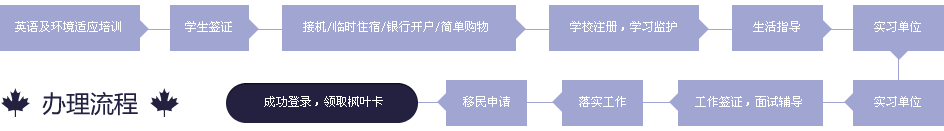 办理流程